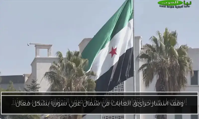 وقف انتشار حرائق الغابات في شمال غربي سوريا بشكل فعال