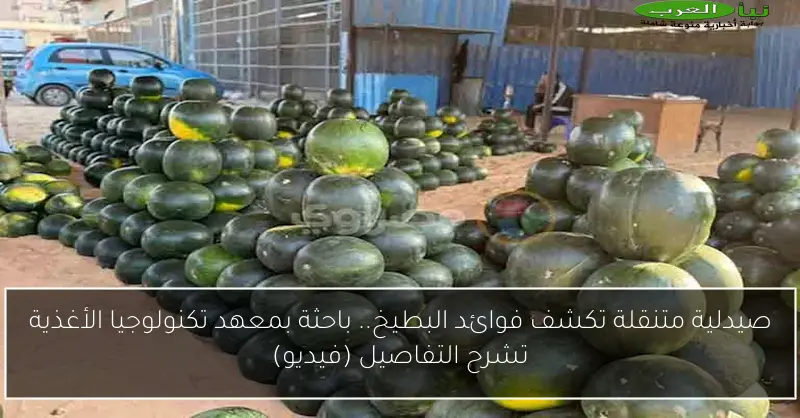 صيدلية متنقلة تكشف فوائد البطيخ.. باحثة بمعهد تكنولوجيا الأغذية تشرح التفاصيل (فيديو)