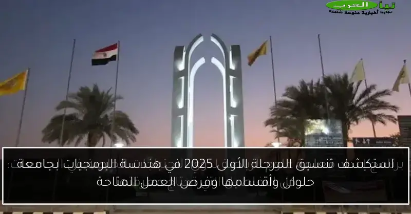 استكشف تنسيق المرحلة الأولى 2025 في هندسة البرمجيات بجامعة حلوان وأقسامها وفرص العمل المتاحة