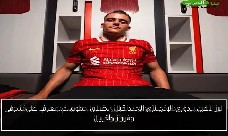 أبرز لاعبي الدوري الإنجليزي الجدد قبل انطلاق الموسم.. تعرف على شرقي وفيرتز وآخرين