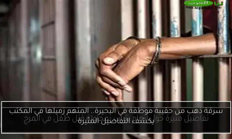 سرقة ذهب من حقيبة موظفة في البحيرة.. المتهم زميلها في المكتب يكشف التفاصيل المثيرة