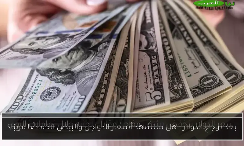 بعد تراجع الدولار.. هل ستشهد أسعار الدواجن والبيض انخفاضًا قريبًا؟