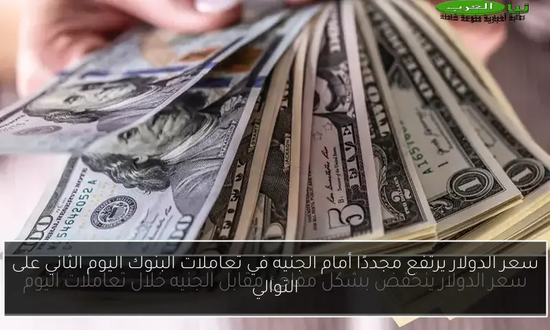 سعر الدولار يرتفع مجددًا أمام الجنيه في تعاملات البنوك اليوم الثاني على التوالي