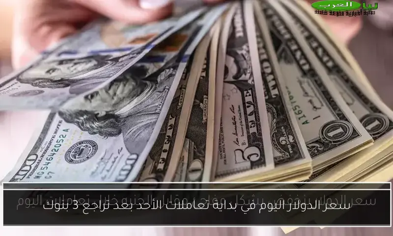 سعر الدولار اليوم في بداية تعاملات الأحد بعد تراجع 3 بنوك