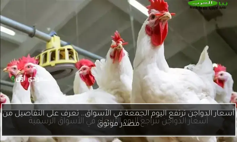 أسعار الدواجن ترتفع اليوم الجمعة في الأسواق.. تعرف على التفاصيل من مصدر موثوق