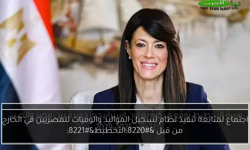 اجتماع لمتابعة تنفيذ نظام تسجيل المواليد والوفيات للمصريين في الخارج من قبل “التخطيط”