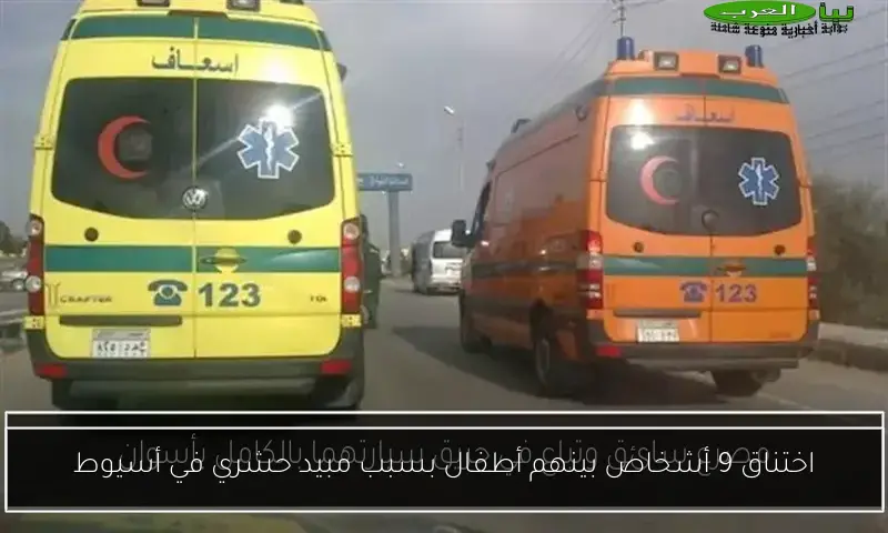 اختناق 9 أشخاص بينهم أطفال بسبب مبيد حشري في أسيوط