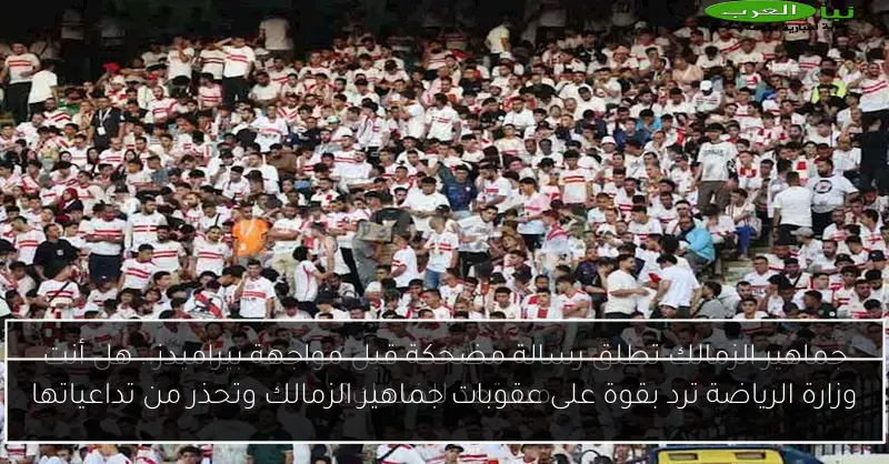 وزارة الرياضة ترد بقوة على عقوبات جماهير الزمالك وتحذر من تداعياتها
