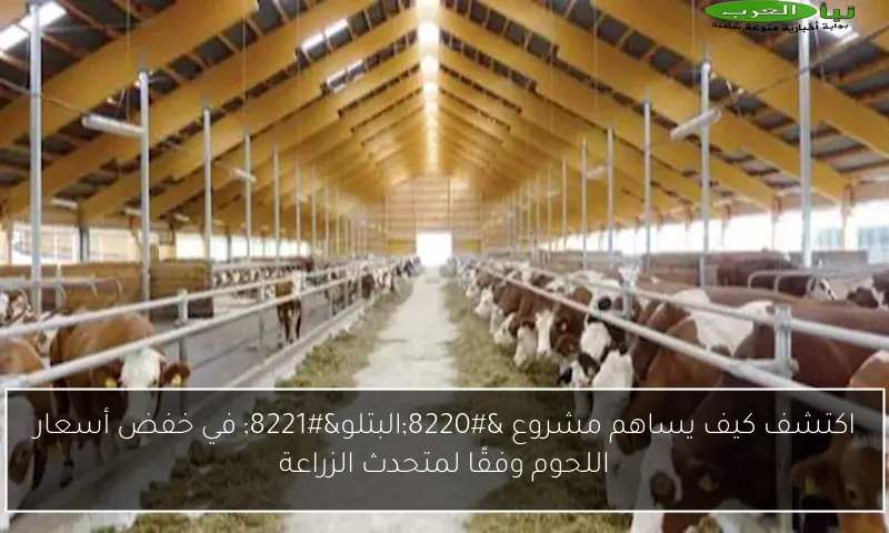 اكتشف كيف يساهم مشروع “البتلو” في خفض أسعار اللحوم وفقًا لمتحدث الزراعة