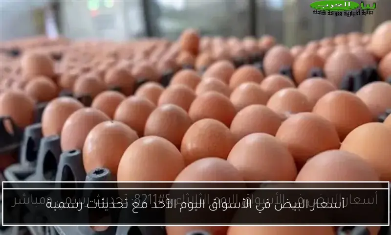أسعار البيض في الأسواق اليوم الأحد مع تحديثات رسمية