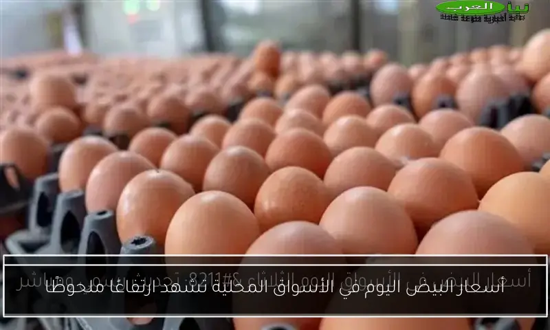 أسعار البيض اليوم في الأسواق المحلية تشهد ارتفاعًا ملحوظًا