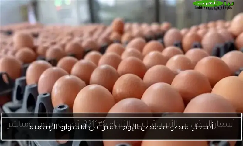 أسعار البيض تنخفض اليوم الاثنين في الأسواق الرسمية