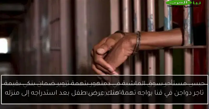 تاجر دواجن في قنا يواجه تهمة هتك عرض طفل بعد استدراجه إلى منزله