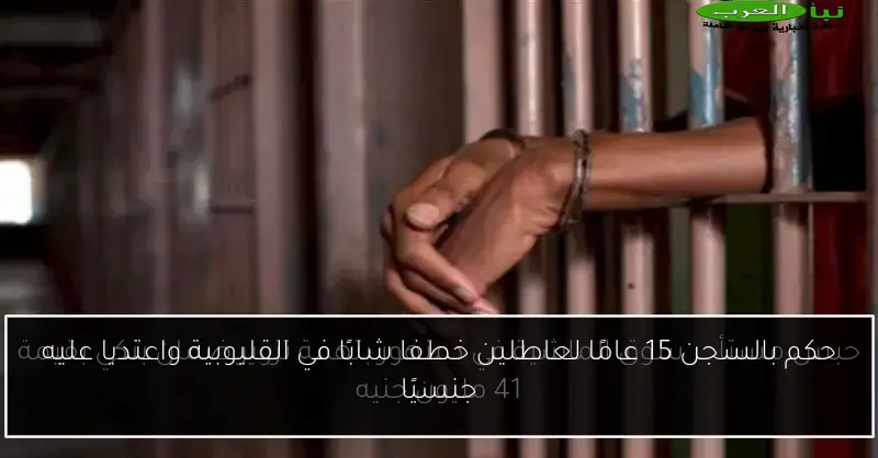 حكم بالسجن 15 عامًا لعاطلين خطفا شابًا في القليوبية واعتديا عليه جنسيًا