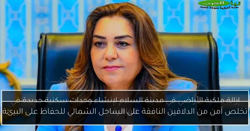 تخلص آمن من الدلافين النافقة على الساحل الشمالي للحفاظ على البيئة