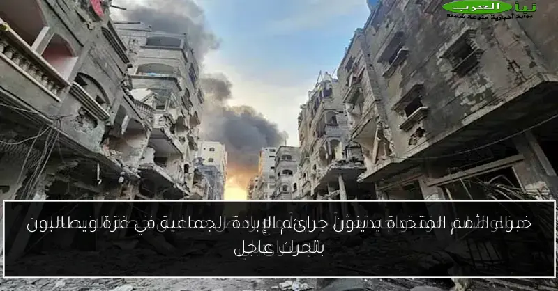 خبراء الأمم المتحدة يدينون جرائم الإبادة الجماعية في غزة ويطالبون بتحرك عاجل