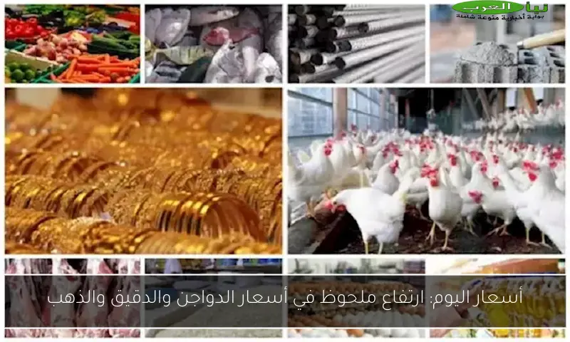 أسعار اليوم: ارتفاع ملحوظ في أسعار الدواجن والدقيق والذهب