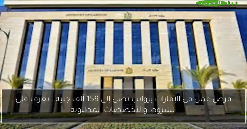 فرص عمل في الإمارات برواتب تصل إلى 159 ألف جنيه.. تعرف على الشروط والتخصصات المطلوبة