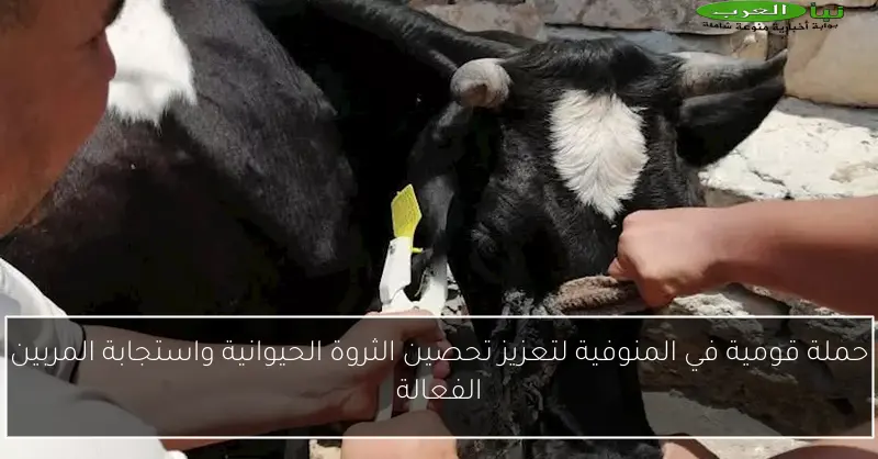 حملة قومية في المنوفية لتعزيز تحصين الثروة الحيوانية واستجابة المربين الفعالة