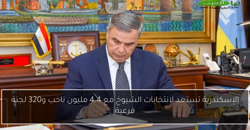 الإسكندرية تستعد لانتخابات الشيوخ مع 4.4 مليون ناخب و320 لجنة فرعية