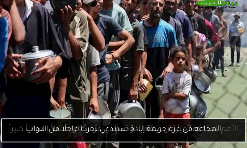 المجاعة في غزة جريمة إبادة تستدعي تحركًا عاجلًا من النواب