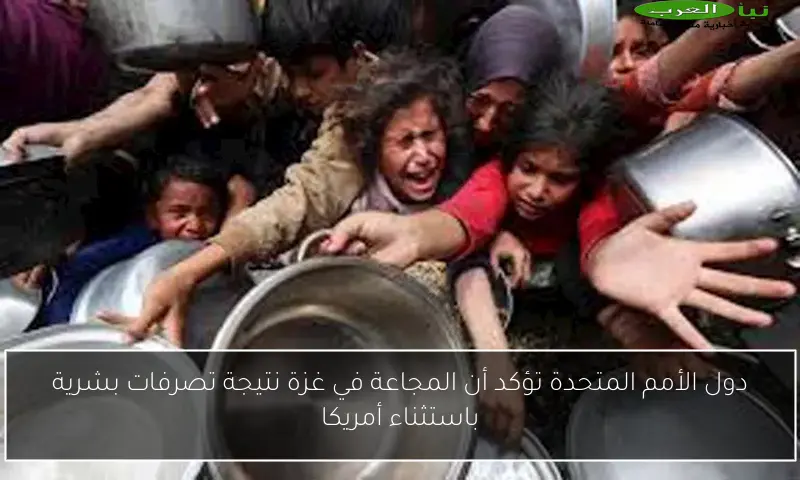 دول الأمم المتحدة تؤكد أن المجاعة في غزة نتيجة تصرفات بشرية باستثناء أمريكا