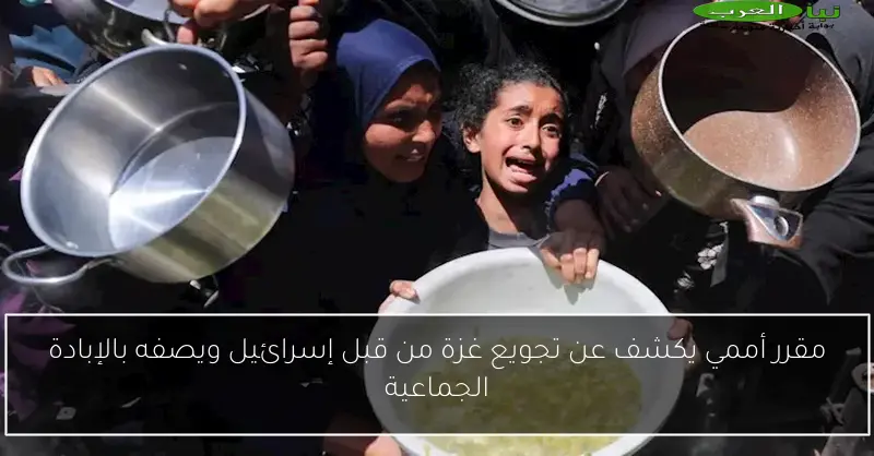 مقرر أممي يكشف عن تجويع غزة من قبل إسرائيل ويصفه بالإبادة الجماعية