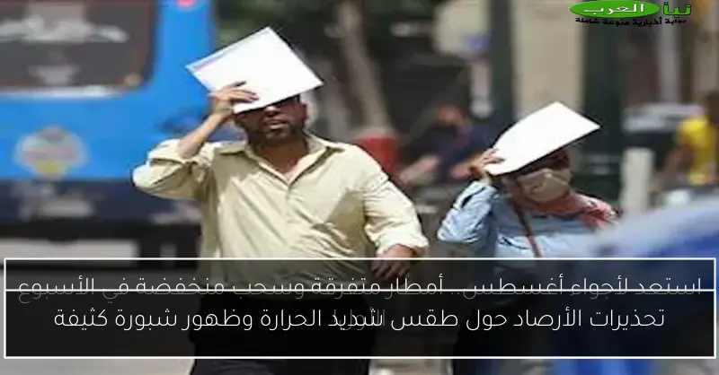 تحذيرات الأرصاد حول طقس شديد الحرارة وظهور شبورة كثيفة