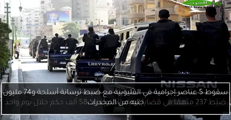 سقوط 5 عناصر إجرامية في القليوبية مع ضبط ترسانة أسلحة و74 مليون جنيه من المخدرات