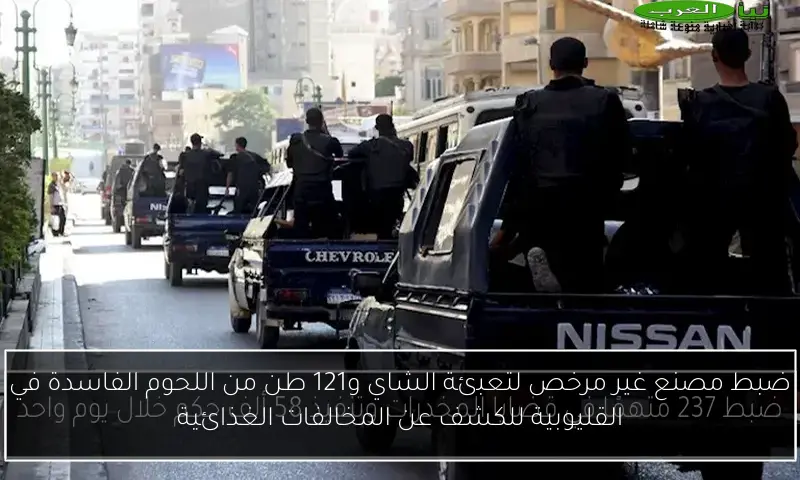 ضبط مصنع غير مرخص لتعبئة الشاي و121 طن من اللحوم الفاسدة في القليوبية للكشف عن المخالفات الغذائية