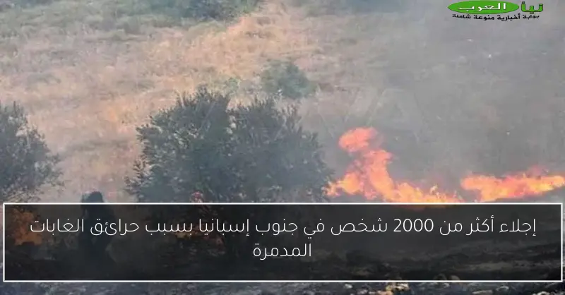 إجلاء أكثر من 2000 شخص في جنوب إسبانيا بسبب حرائق الغابات المدمرة