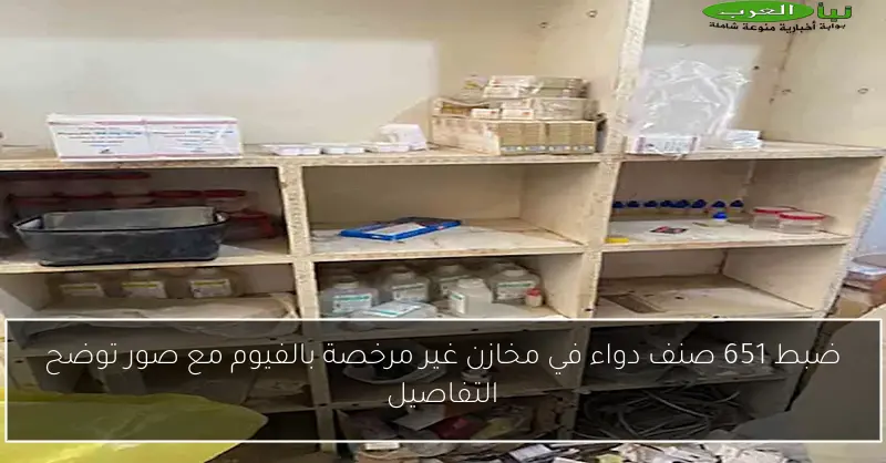ضبط 651 صنف دواء في مخازن غير مرخصة بالفيوم مع صور توضح التفاصيل