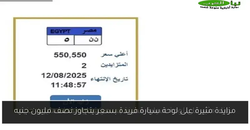 مزايدة مثيرة على لوحة سيارة فريدة بسعر يتجاوز نصف مليون جنيه