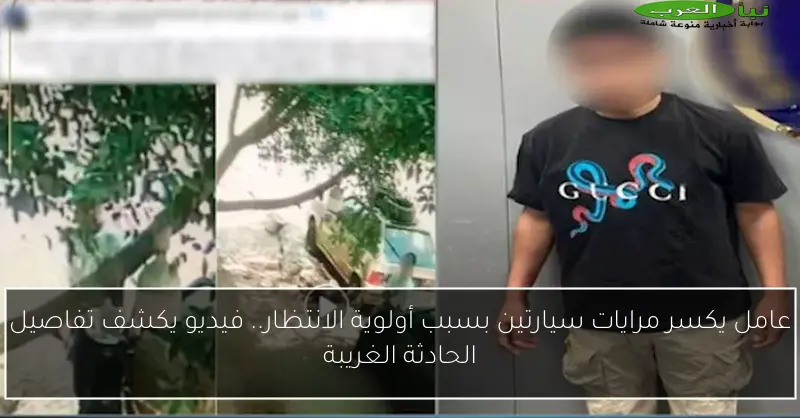 عامل يكسر مرايات سيارتين بسبب أولوية الانتظار.. فيديو يكشف تفاصيل الحادثة الغريبة