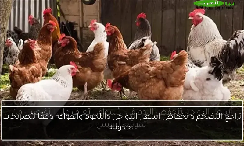 تراجع التضخم وانخفاض أسعار الدواجن واللحوم والفواكه وفقًا لتصريحات الحكومة