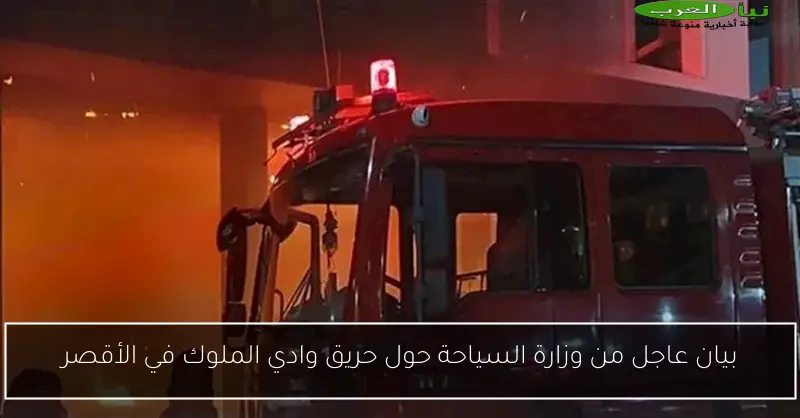 بيان عاجل من وزارة السياحة حول حريق وادي الملوك في الأقصر