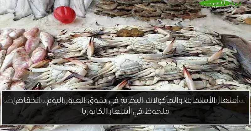 أسعار الأسماك والمأكولات البحرية في سوق العبور اليوم.. انخفاض ملحوظ في أسعار الكابوريا
