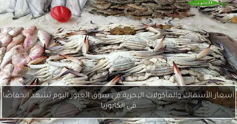 أسعار الأسماك والمأكولات البحرية في سوق العبور اليوم تشهد انخفاضًا في الكابوريا