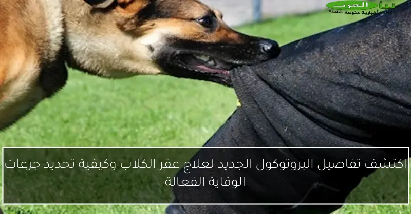 اكتشف تفاصيل البروتوكول الجديد لعلاج عقر الكلاب وكيفية تحديد جرعات الوقاية الفعالة