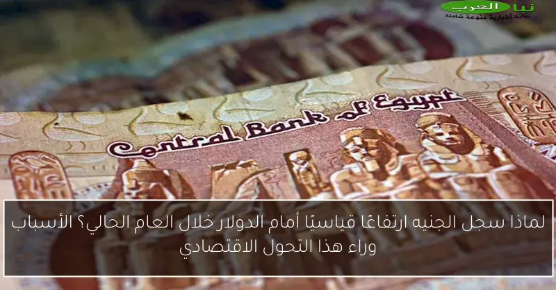 لماذا سجل الجنيه ارتفاعًا قياسيًا أمام الدولار خلال العام الحالي؟ الأسباب وراء هذا التحول الاقتصادي