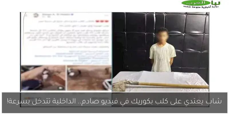 شاب يعتدي على كلب بكوريك في فيديو صادم.. الداخلية تتدخل بسرعة!
