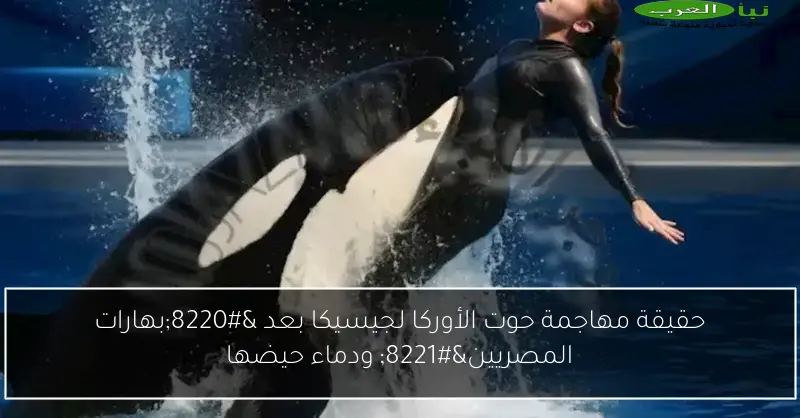 حقيقة مهاجمة حوت الأوركا لجيسيكا بعد “بهارات المصريين” ودماء حيضها