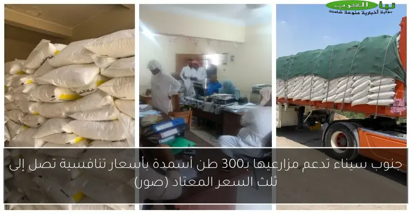 جنوب سيناء تدعم مزارعيها بـ300 طن أسمدة بأسعار تنافسية تصل إلى ثلث السعر المعتاد (صور)