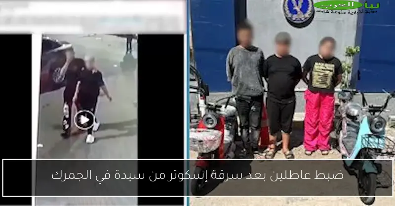 ضبط عاطلين بعد سرقة إسكوتر من سيدة في الجمرك