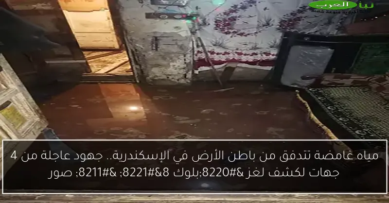 مياه غامضة تتدفق من باطن الأرض في الإسكندرية.. جهود عاجلة من 4 جهات لكشف لغز “بلوك 8” – صور