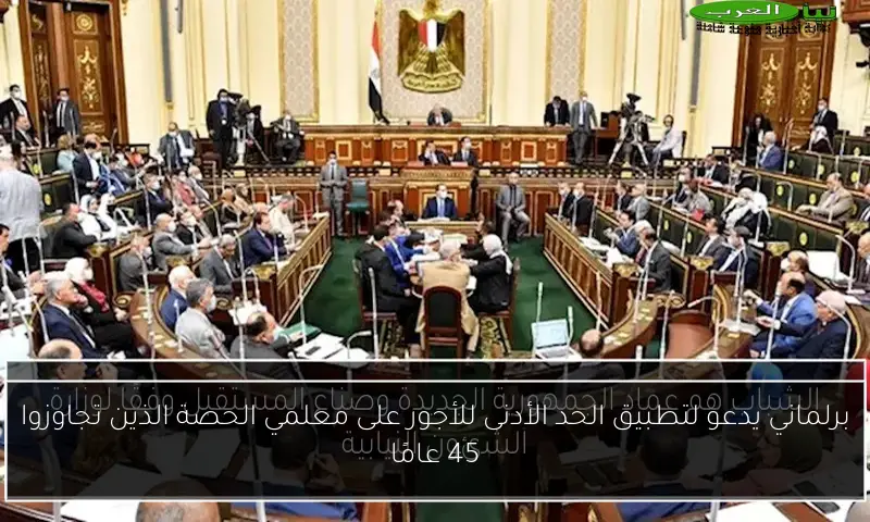 برلماني يدعو لتطبيق الحد الأدنى للأجور على معلمي الحصة الذين تجاوزوا 45 عامًا
