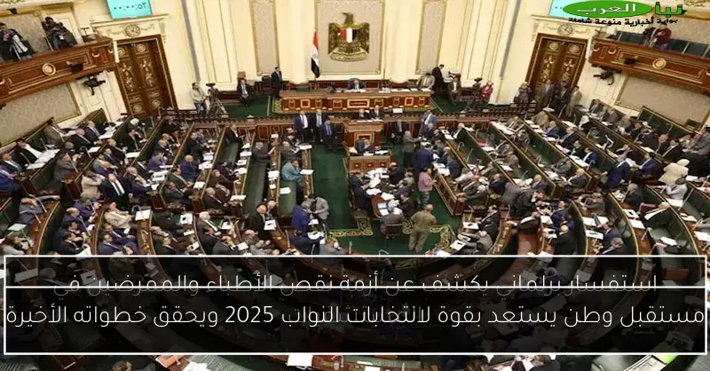 مستقبل وطن يستعد بقوة لانتخابات النواب 2025 ويحقق خطواته الأخيرة