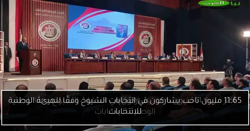 11.65 مليون ناخب يشاركون في انتخابات الشيوخ وفقًا للهيئة الوطنية للانتخابات