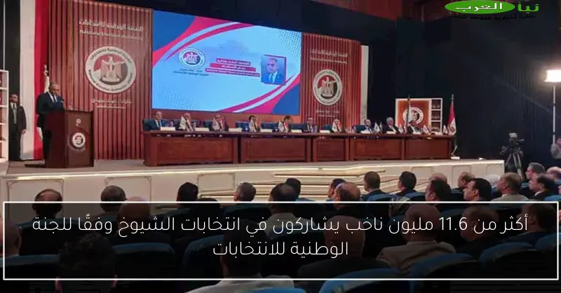 أكثر من 11.6 مليون ناخب يشاركون في انتخابات الشيوخ وفقًا للجنة الوطنية للانتخابات