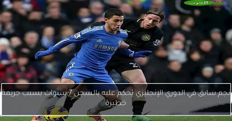 نجم سابق في الدوري الإنجليزي يُحكم عليه بالسجن 7 سنوات بسبب جريمة خطيرة